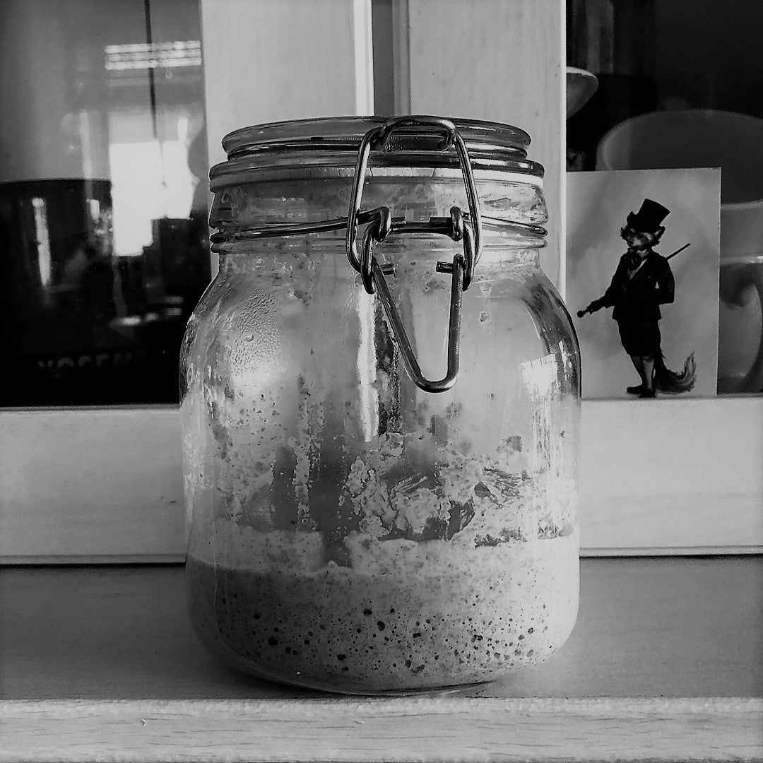 How to Make a Sourdough Starter Sourdough Breadsmith